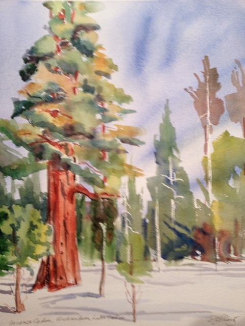 Richardson Lake Sequoia